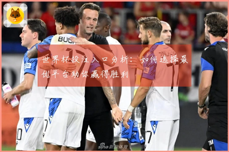 世界杯投注入口分析：如何选择最优平台助你赢得胜利