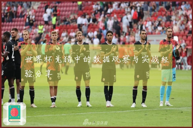 世界杯竞猜中的数据观察与实战经验分享