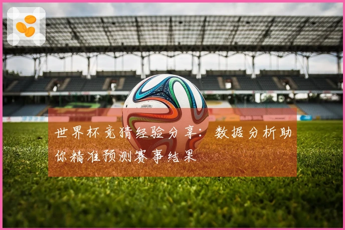 世界杯竞猜经验分享：数据分析助你精准预测赛事结果