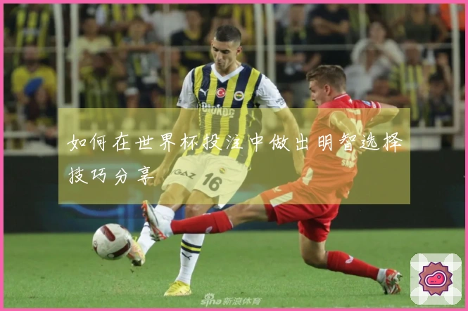 如何在世界杯投注中做出明智选择技巧分享