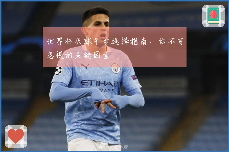 世界杯买球平台选择指南，你不可忽视的关键因素