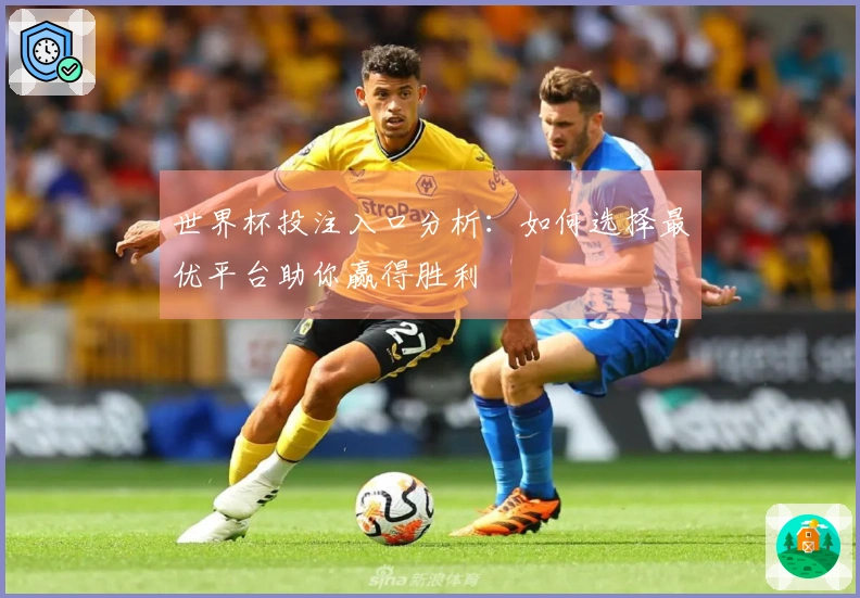 世界杯投注入口分析：如何选择最优平台助你赢得胜利