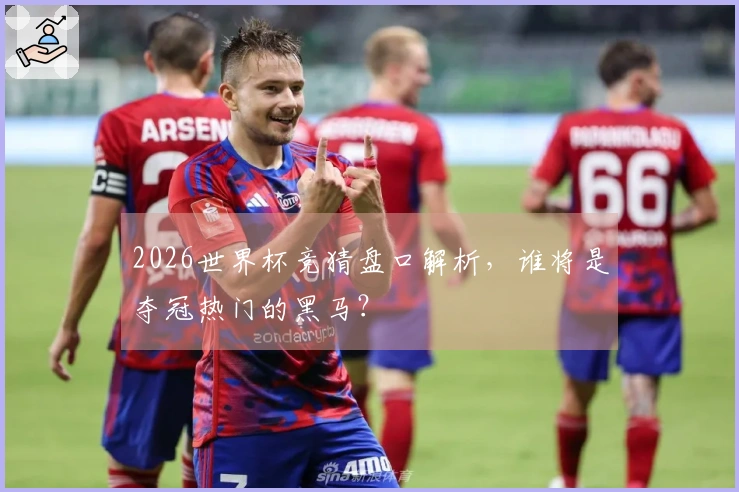 2026世界杯竞猜盘口解析，谁将是夺冠热门的黑马？